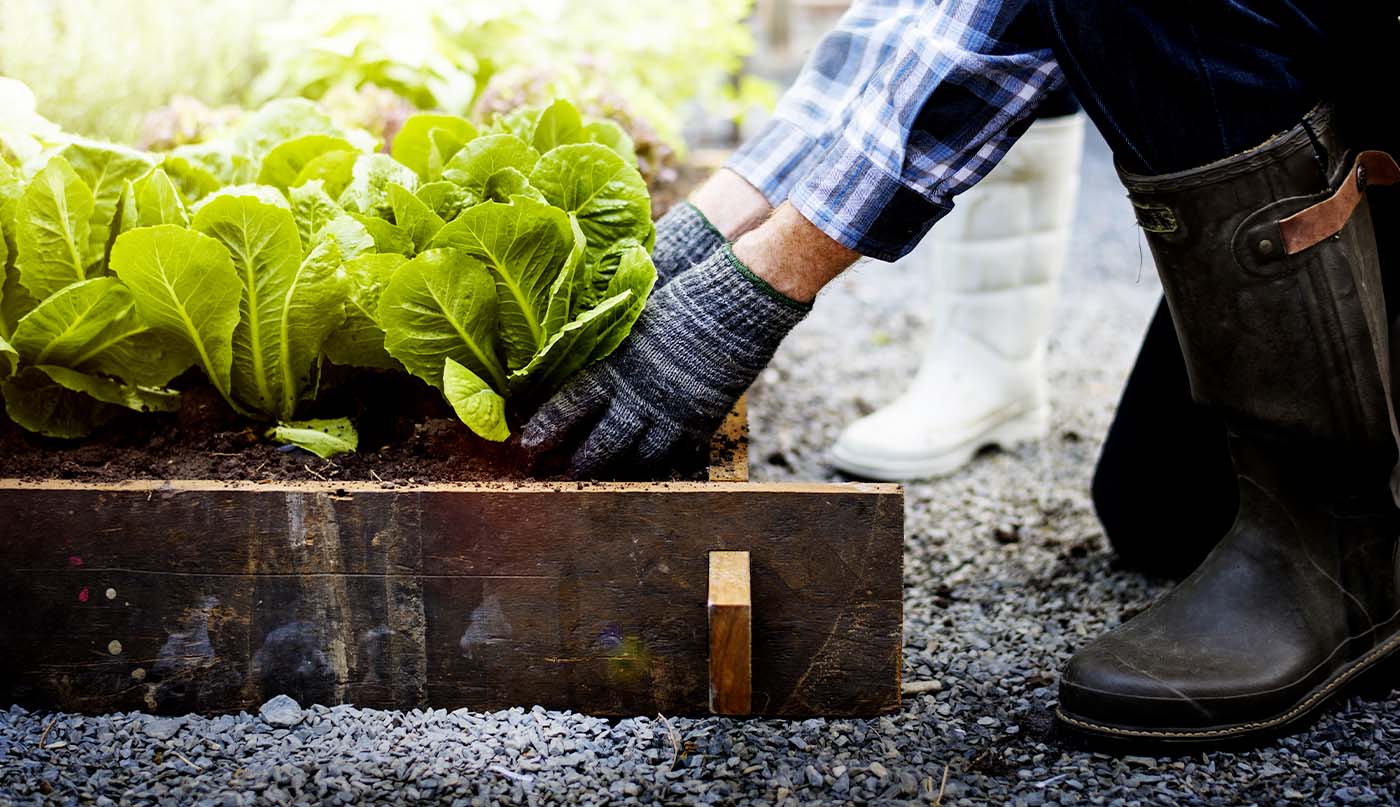 preparare il terreno per un orto fai da te