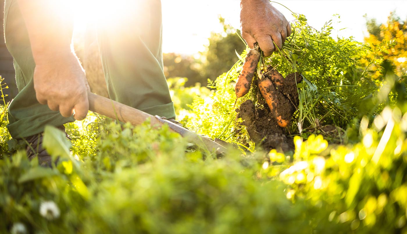 agricoltura rigenerativa